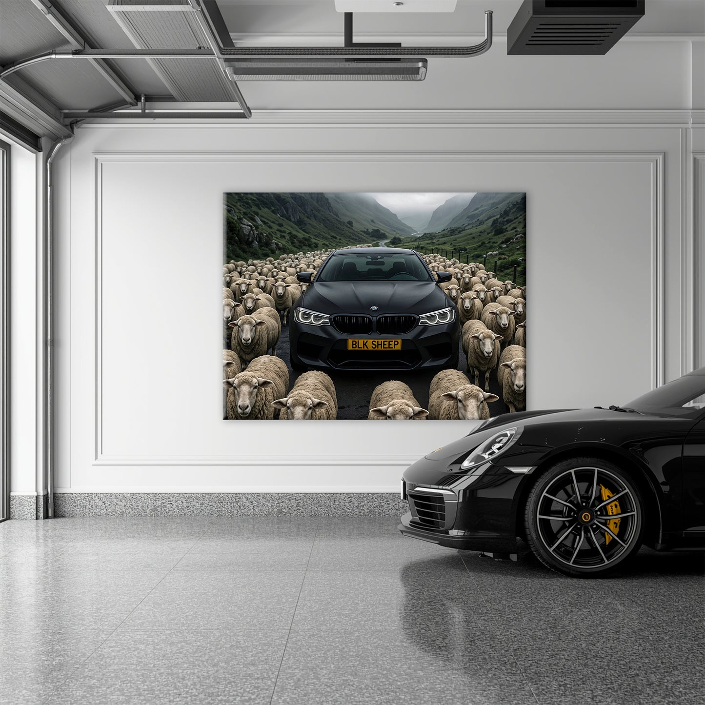 BLK SHEEP