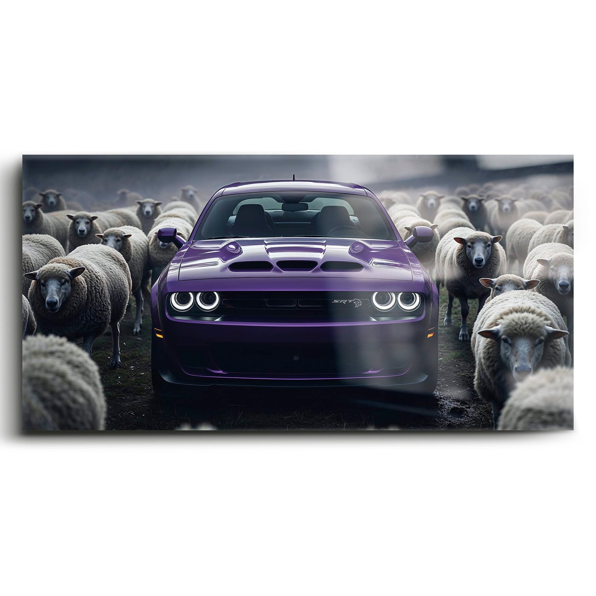 Dodge Challenger Hellcat Black Sheep Wall Art – Purple Muscle Car Canvas Print Cars