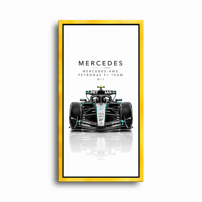 Mercedes-Benz AMG Petronas F1 Team W17 Wall Art | Formula 1 Decor Cars